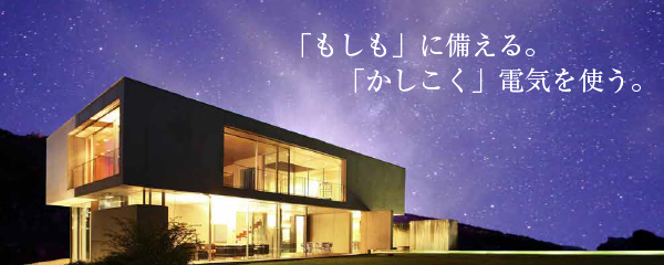 「もしも」に備える。「かしこく」電気を使う。